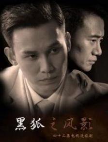 黑狐视频,暗影特工的生死较量