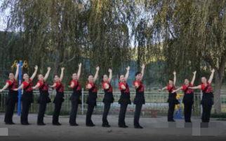 印度广场舞视频,广场舞文化的新风尚