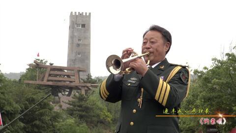 沂蒙山小调视频,红色山区的旋律传奇