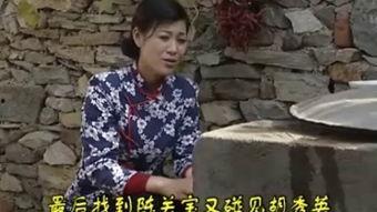 沂蒙山小调视频,红色山区的旋律传奇