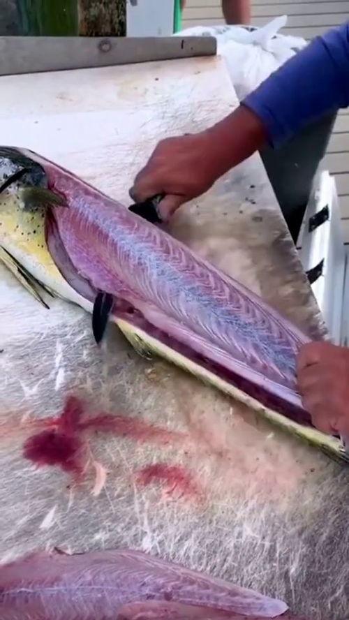 刺身制作视频,从选材到摆盘的精致艺术之旅