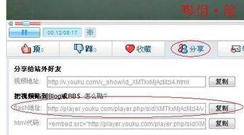 优酷视频地址,[视频标题]，带你领略精彩瞬间