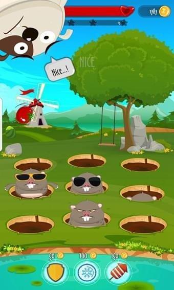 地鼠视频,视频带你走进它们的奇妙世界