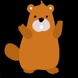 地鼠视频,视频带你走进它们的奇妙世界