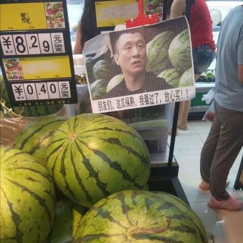 今日熟瓜,揭秘瓜果成熟背后的秘密