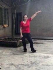 金泉广场舞生活视频,活力四溢的社区舞蹈盛宴