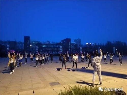 春舞视频,捕捉春天的律动与美好