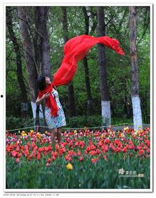 春舞视频,捕捉春天的律动与美好