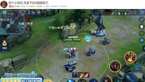 国服猴子视频,揭秘猴子们的欢乐日常与技能展示