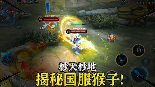 国服猴子视频,揭秘猴子们的欢乐日常与技能展示