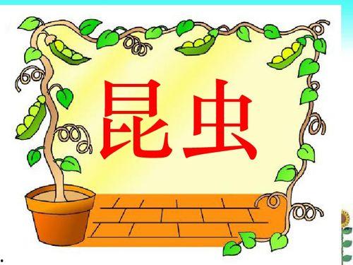 毛毛虫的故事视频,从破茧成蝶的奇迹