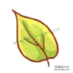 树叶画教程视频,轻松绘制自然之美