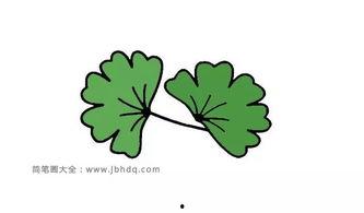 树叶画教程视频,轻松绘制自然之美