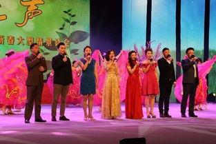 俏媒婆舞蹈视频,传统与现代交融的视觉盛宴