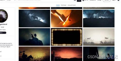 视频素材无水印,无水印背后的秘密