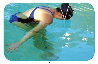 蝶泳教学视频分解动作