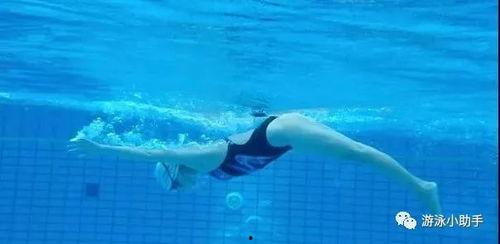 蝶泳教学视频分解动作