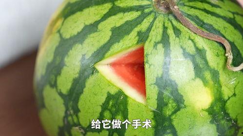 色西瓜视频,揭秘热门短视频的魅力与奥秘