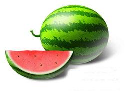 色西瓜视频,揭秘热门短视频的魅力与奥秘