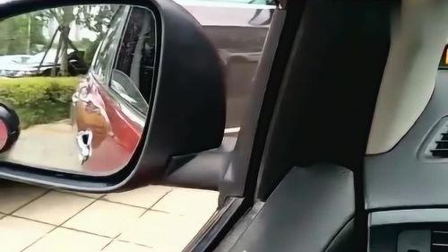 老司机倒车视频,一招教你轻松入库